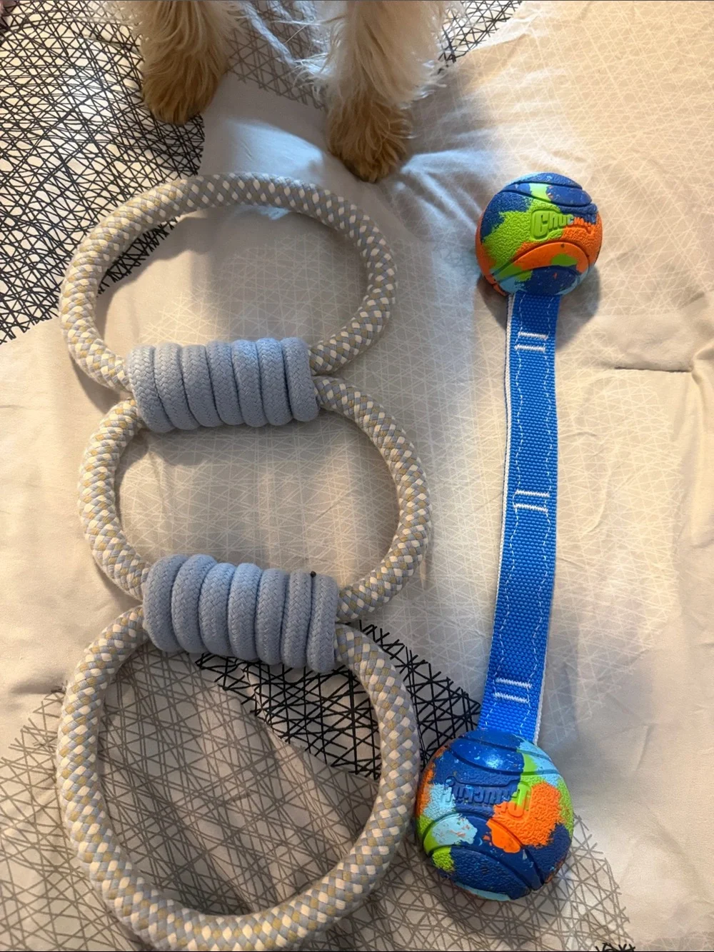 Durable Blue Rope Tug Toy & Colorful Ball Dangler Set